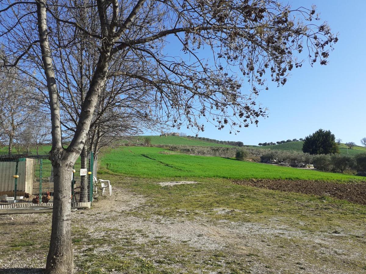 Pier Delle Vigne B&B Pineto Dış mekan fotoğraf
