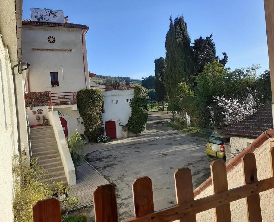 Pier Delle Vigne B&B Pineto Dış mekan fotoğraf
