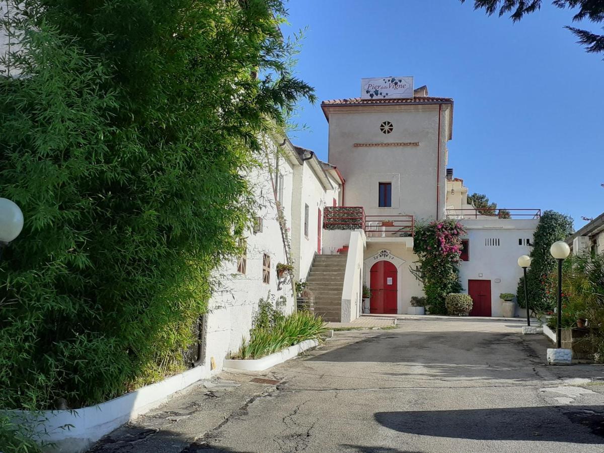 Pier Delle Vigne B&B Pineto Dış mekan fotoğraf