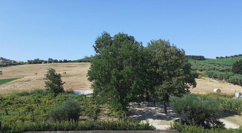 Pier Delle Vigne B&B Pineto Dış mekan fotoğraf