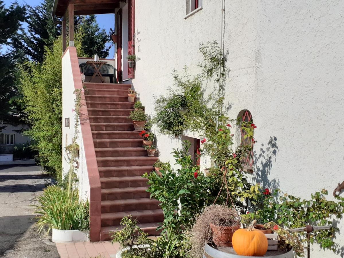 Pier Delle Vigne B&B Pineto Dış mekan fotoğraf