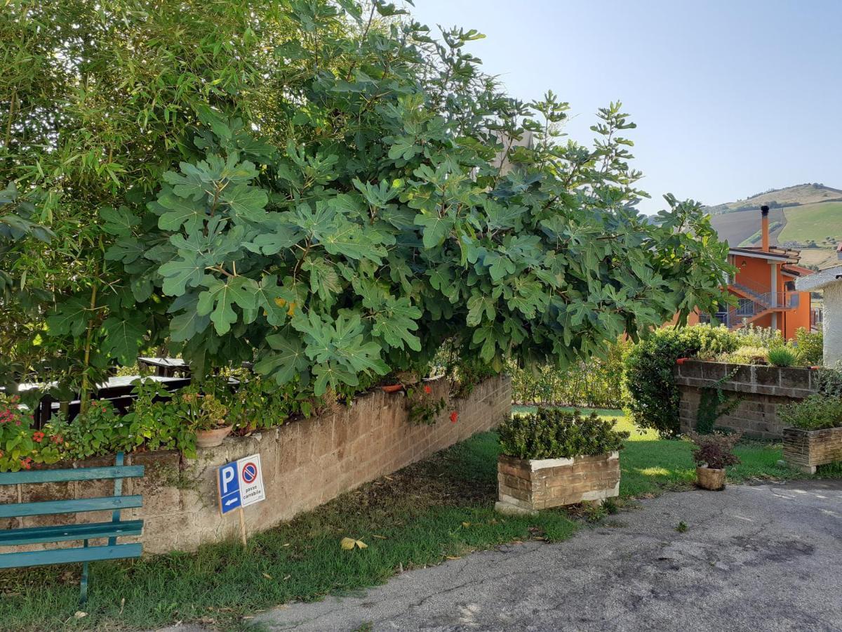 Pier Delle Vigne B&B Pineto Dış mekan fotoğraf