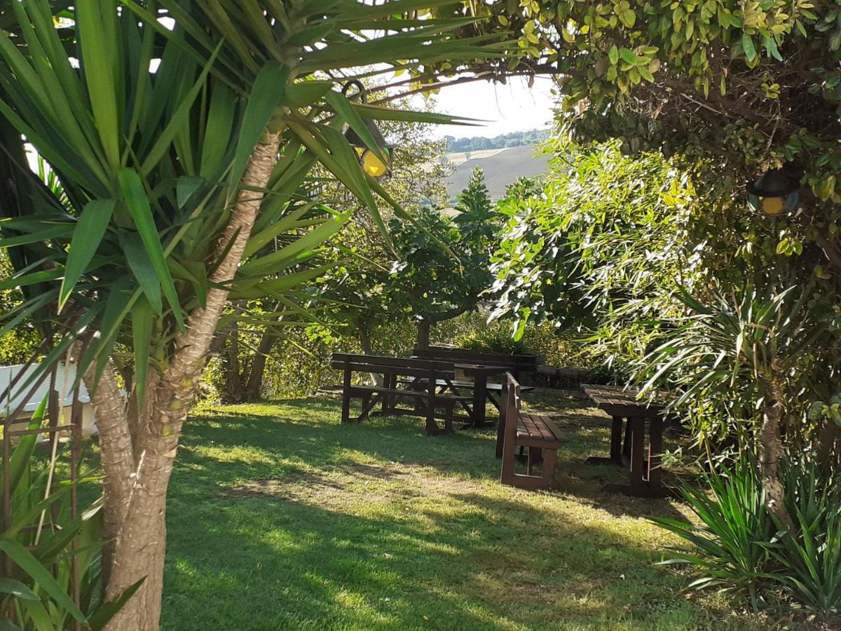 Pier Delle Vigne B&B Pineto Dış mekan fotoğraf