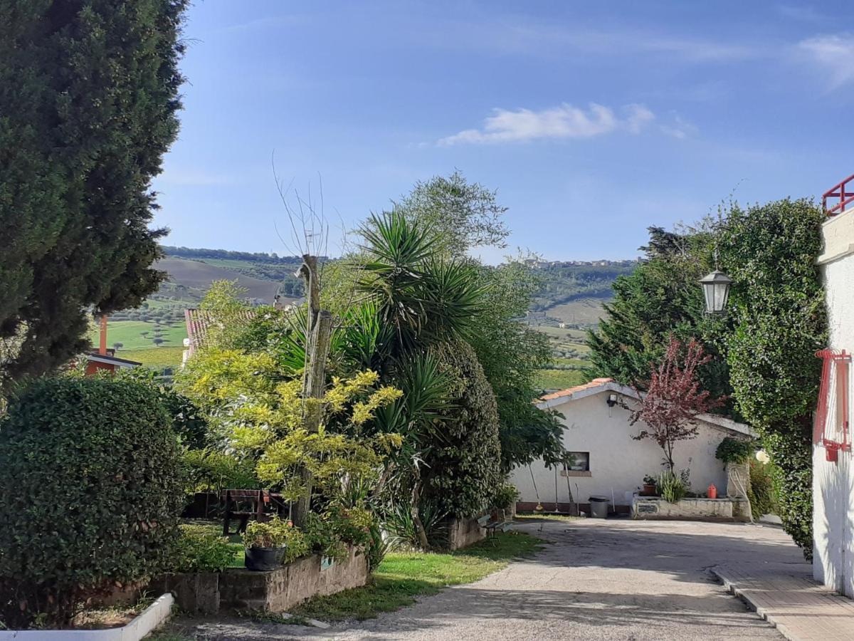 Pier Delle Vigne B&B Pineto Dış mekan fotoğraf