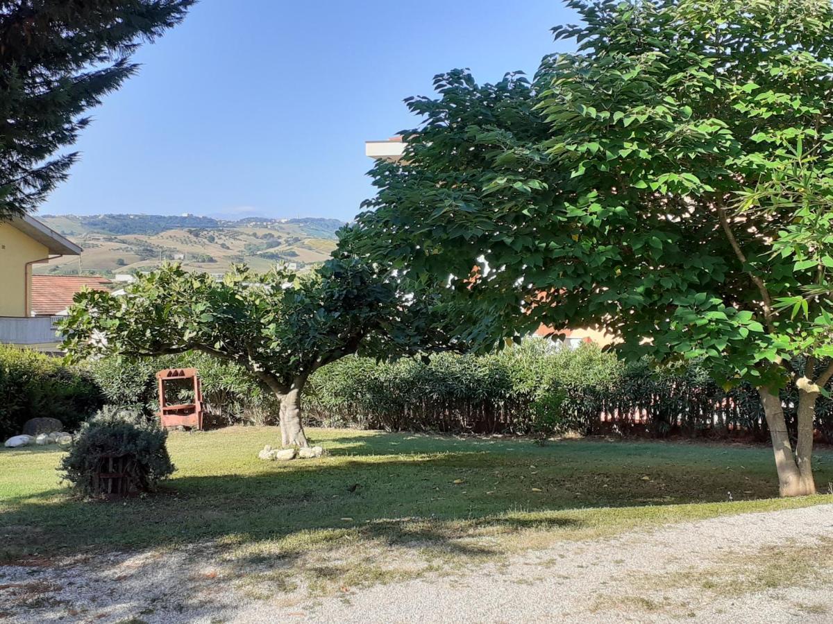 Pier Delle Vigne B&B Pineto Dış mekan fotoğraf