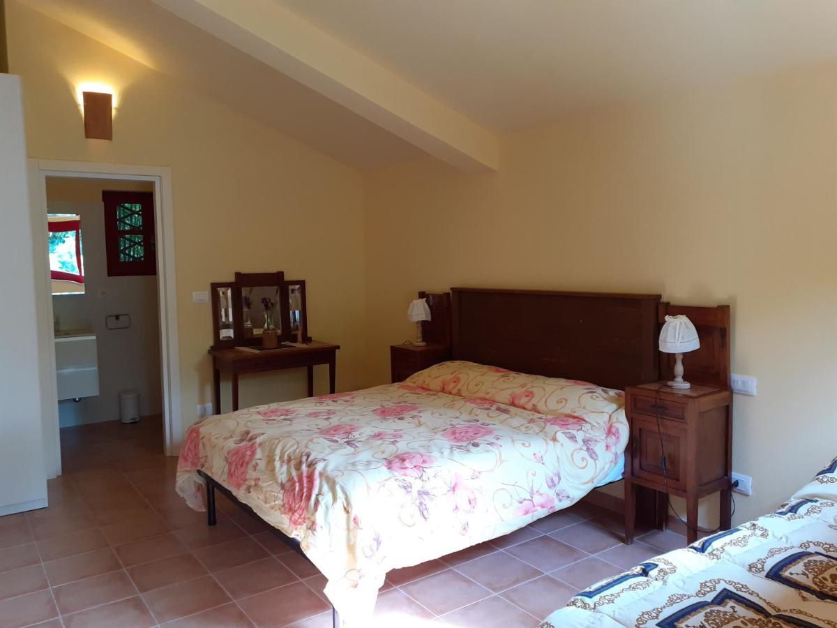 Pier Delle Vigne B&B Pineto Dış mekan fotoğraf