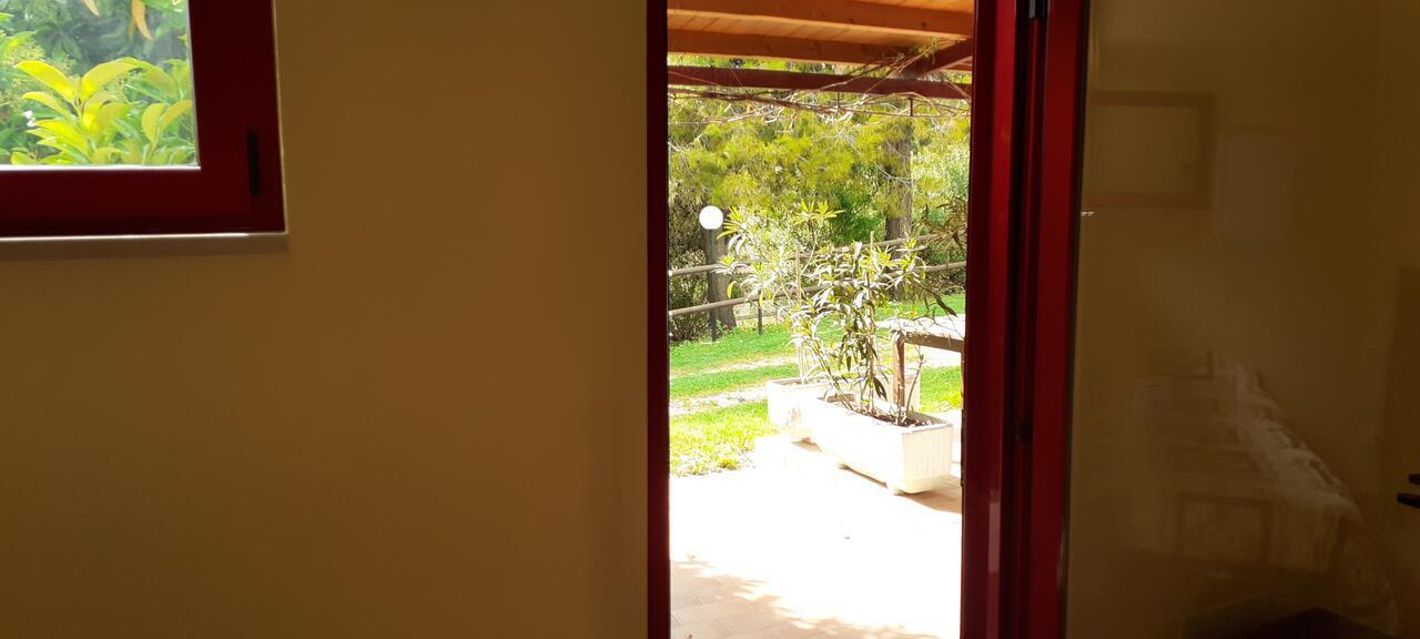 Pier Delle Vigne B&B Pineto Dış mekan fotoğraf