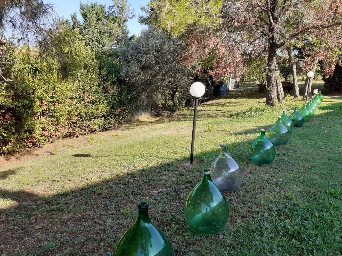 Pier Delle Vigne B&B Pineto Dış mekan fotoğraf