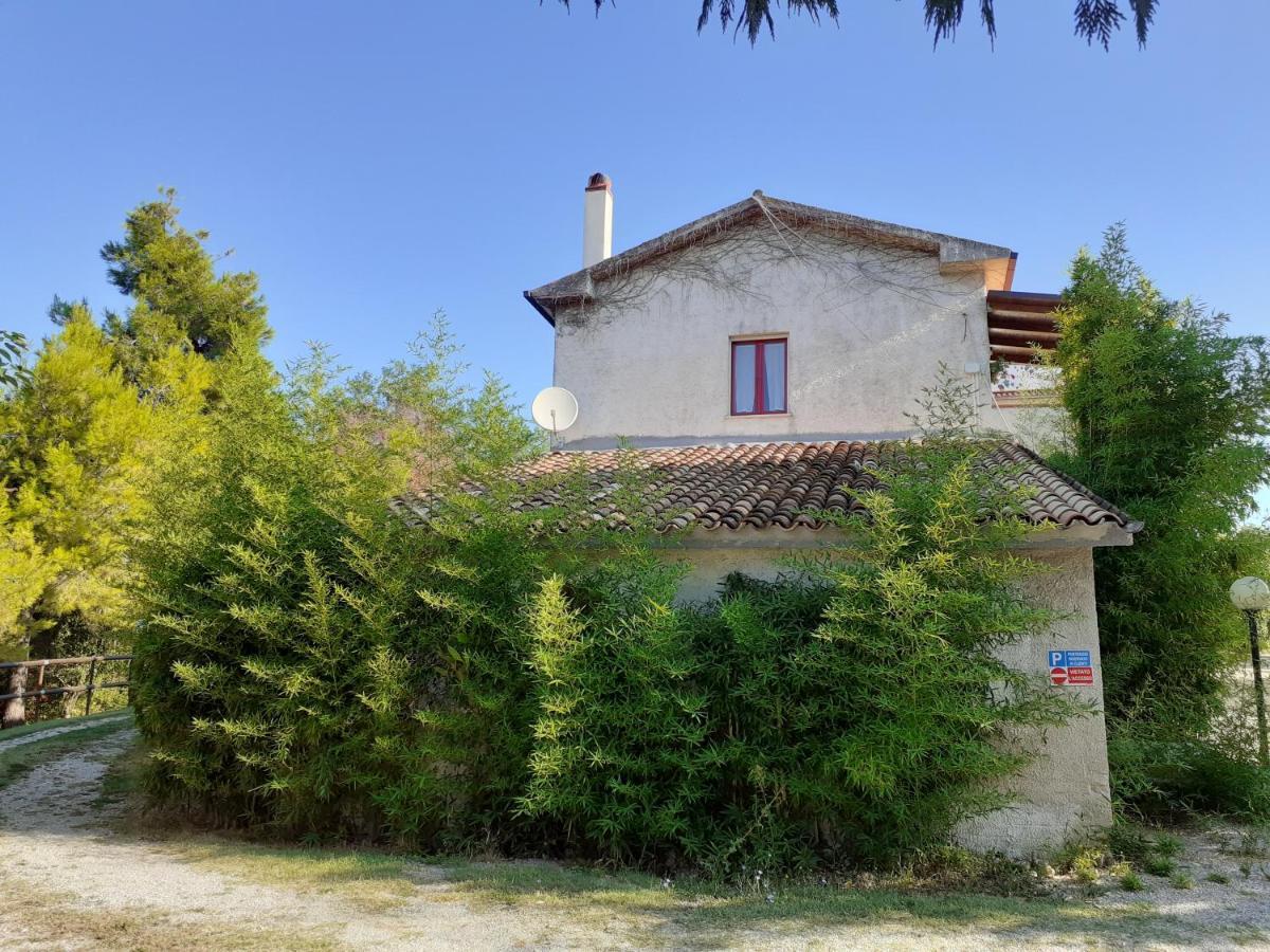 Pier Delle Vigne B&B Pineto Dış mekan fotoğraf
