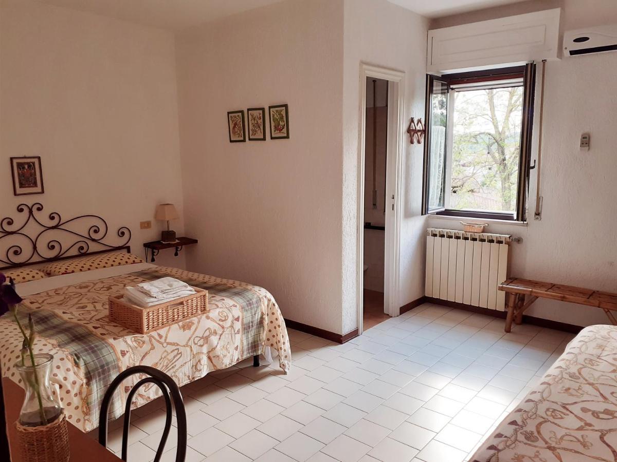 Pier Delle Vigne B&B Pineto Dış mekan fotoğraf