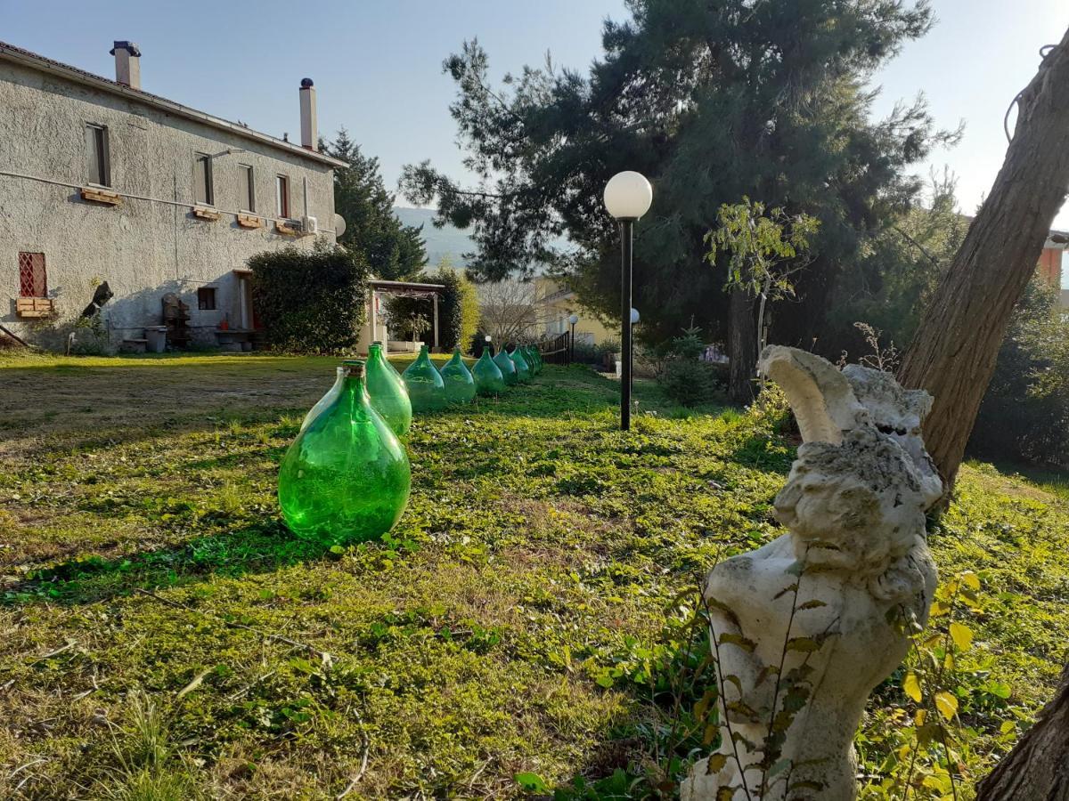 Pier Delle Vigne B&B Pineto Dış mekan fotoğraf