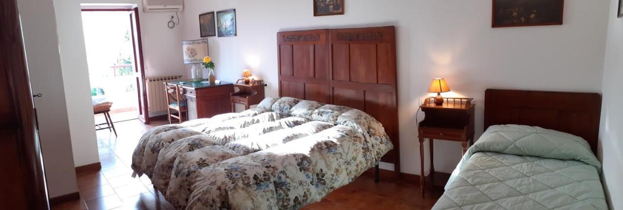 Pier Delle Vigne B&B Pineto Dış mekan fotoğraf